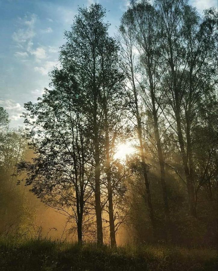 Mysig Timmerstuga Med Braskamin Naera Hovfjaellet Torsby Exterior foto